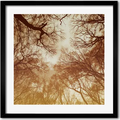 Produktbild von Bild - 50 cm x 50 cm - MDF - Rahmen, Wandkunst - Wald