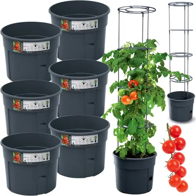 A set of dark gray planters, a tomato plant in a planter with a support cage, and a bunch of tomatoes.