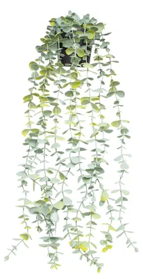 Produktbild von Künstliche hängende Eukalyptuspflanze, 56 cm, Hängepflanze aus Kunststoff mit Topf, Eukalyptuspflanzendekoration für Zuhause, Büro, Veranda, Wand, drinnen und draußen.