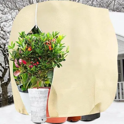 Image de Protection hivernale pour plantes, respirante, réutilisable, beige, 160 x 240 cm