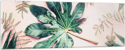 Produktbild von Bilder auf glas - Einteilig - Blatt Tropisch Palme - 90x30cm - Glasbilder - Wandbilder - Bilder - zum Aufhängen bereit - Wanddekoration aus Glas - Glas Bilder - Wandbild auf Glas - GAB90x30-4314