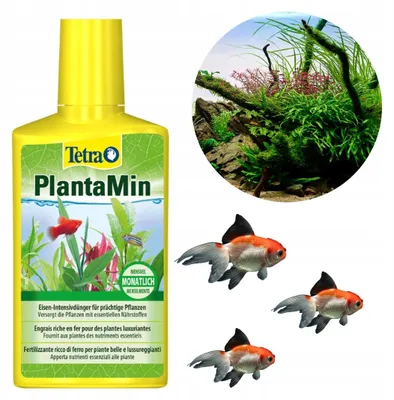 Produktbild von Aquarium Wasserpflege Tetra PlantaMin Pflanzen-Dünger 500 ml für Süßwasseraquarium, Eisen, Kalium und Spurenelemente