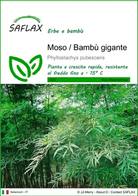 Immagine prodotto di SAFLAX  - Moso / Bambù gigante - 20 semi - Phyllostachys