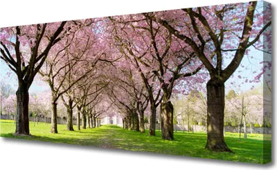 Produktbild von Tulup Leinwand-Bilder 125x50 Wandbild Canvas Kunstdruck Fußpfad Bäume Natur