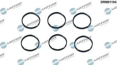 Produktbild von DR.MOTOR AUTOMOTIVE Dichtring Kerzenschacht DRM01194 für VOLVO XC60 (156)