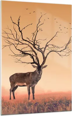 Produktbild von Bilder auf glas - Einteilig - Hirsch Baum Nebel Wald - 70x100cm - Glasbilder - Wandbilder - Bilder - zum Aufhängen bereit - Wanddekoration aus Glas - Glas Bilder - Wandbild auf Glas - GPA70x100-3127