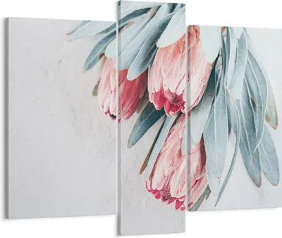 Produktbild von Bild auf Leinwand - Leinwandbild - 3 Teile - Blume Eukalyptus Australier - 95x80cm - Wand Bild - Wanddeko - Wandbilder - Leinwanddruck - Bilder - Wanddekoration - Leinwand bilder - CB95x80-5016