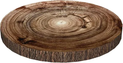 Obrázok produktu pre Vankúš na stoličku Bertoni RING 4x40cm KEMPAS