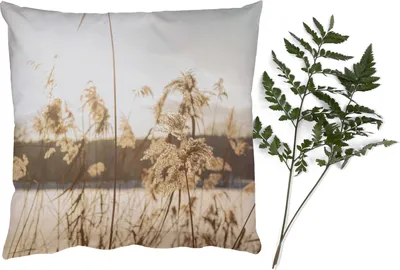 Produktbild von MuchoWow® Zierkissen Sofakissen Wohnzimmer Dekokissen 60x60 cm Wasser - Pampasgras - Pflanzen - Sitzfläche - Foto Polster