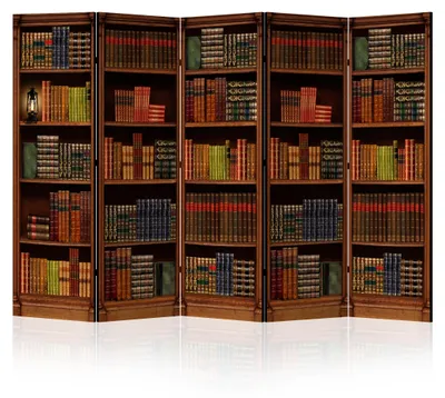 Immagine prodotto di LUMASOUL Paravento a un'anta, Paravento per Interni, Retro Bibliothèque, 225x172 cm