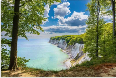 Produktbild von ARTland Wandbild Alu für Innen & Outdoor Kreidefelsen an der Küste auf Rügen. Größe: 60x40 cm