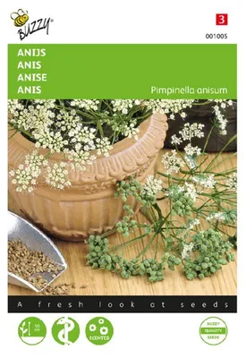 Produktbild von Buzzy Seeds Anis Kräutersamen - 1 Saatgutbeutel