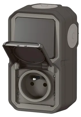 Image de Plexo Interrupteur Et Prise 2p+t Vertical Anthracite - Legrand