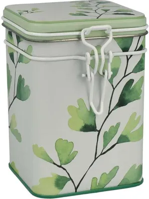 Image de Trees - Boîte carrée Gingko 150g
