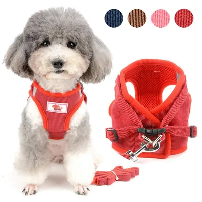 Imagen del producto de Arnés para perros pequeños, ajustable, reflectante, talla M, con correa, ideal para paseos