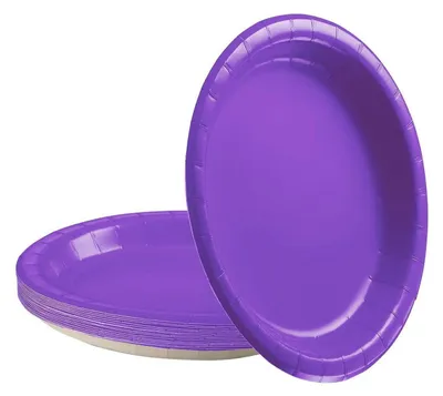 Produktbild von Pappteller Lila 16 Stück 18 cm Rund Einwegteller für Partys