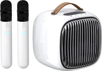 Obrázok produktu pre Prenosný 30 W karaoke systém s Bluetooth, 2 mikrofónmi a USB