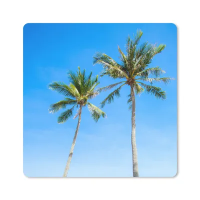 Produktbild von MuchoWow® Mauspad Mousepad Palme - Sommer - Tropisch 30x30 cm - Mousepads - Maus Mat - Pad - Mausunterlage - Gaming