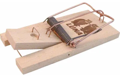 Productafbeelding van Luna Houten rattenklem 10 stuks