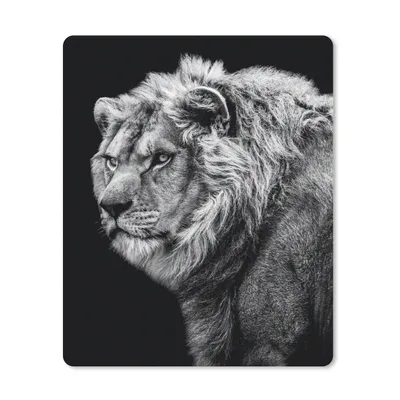 Produktbild von MuchoWow® Mauspad Mousepad Löwe - Porträt - Wildtiere - Schwarz - Weiß 19x23 cm - Mousepads - Maus Mat - Pad - Mausunterlage - Mauspads - Spielen