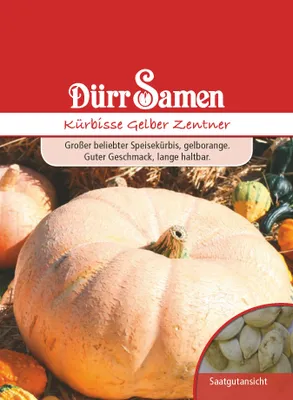 Produktbild von Kürbis Gelber Zentner | Kürbissamen von Dürr Samen