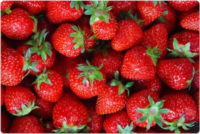 Produktbild von Küchenmatte 150x225 cm Vinylmatte Bodenmatte Dekoration - Obst reif Erdbeeren