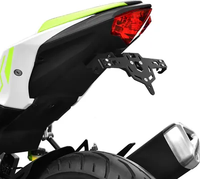 Immagine prodotto di Porta targa ZIEGER Pro 125 compatibile con Kawasaki Ninja 125