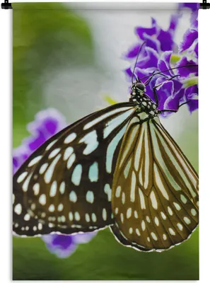 Produktbild von MuchoWow® Wandteppich Wandbehang Lavendel - Schmetterling - Botanisch 120x180 cm Tapisserie Dekoration Wandtuch - Schlafzimmer - Dekorationen für das Haus