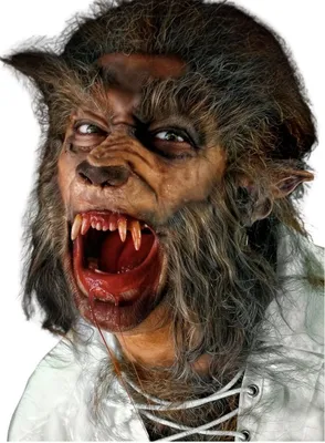 Produktbild von Werwolf Latexschnauze