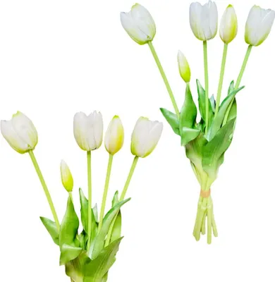 Produktbild von Weiße Tulpen - Gummistrauß mit Tulpen 39 cm Real Touch Farbe 6