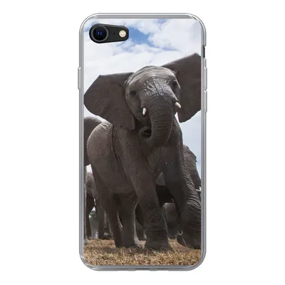 Produktbild von MuchoWow® Handyhülle Schutzhülle Hülle für iPhone SE 2022 Elefant - Tiere - Natur - Flachland Silikon Softcase Handy Hülle - Schutzhülle