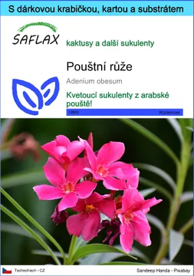 Obrázek produktu pro SAFLAX Dárková sada - pouštní růže - Adenium obesum - 8 Semena - S dárkovou krabičkou, přepravním štítkem, dárkovou kartou a pěstebním médiem
