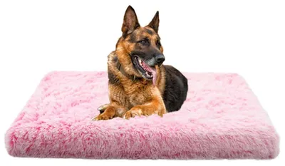 Productafbeelding van Pluizig hondenbed met traagschuim, orthopedisch hondenkussen, wasbaar, antislip, roze, 40x30x5 cm