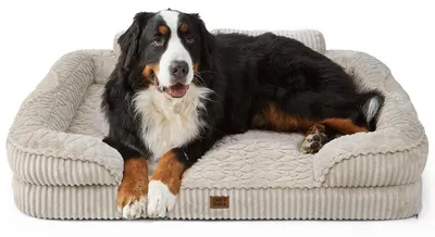 Immagine prodotto di Cuccia ortopedica per cani di grandi dimensioni, colore beige, dimensioni 114x89x20 cm