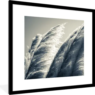 Produktbild von MuchoWow® Gerahmtes Poster Pampasgras - Schwarz - Weiß - Natur 40x40 cm - Poster mit Schwarzem Bilderrahmen Wandposter Rahmen Foto Bilder - Poster - Plakat im Rahmen