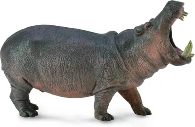 Produktbild von Collecta Wildtiere Nilpferd 15 cm