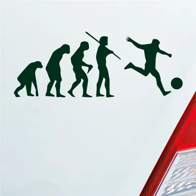 Produktbild von Auto Aufkleber Evolution Fussball Sport Fußball Soccer 15x6 cm Dunkelgrün Sticker Heckscheibenaufkleber