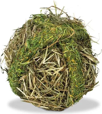 Image de JR Farm Boule de foin des prés 125gx8
