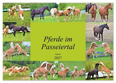 Produktbild von Pferde im Passeiertal (Wandkalender 2027 DIN A2 quer), CALVENDO Monatskalender