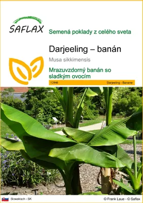 Obrázok produktu pre SAFLAX - Darjeeling – banán - Musa sikkimensis - 5 Semená