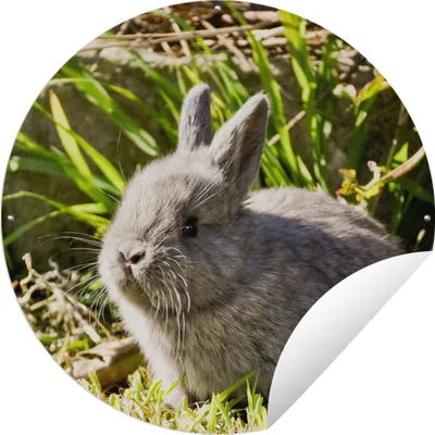 Produktbild von MuchoWow®