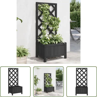 Produktbild von The Living Store Pflanzkübel mit Spalier Schwarz Massivholz Tanne