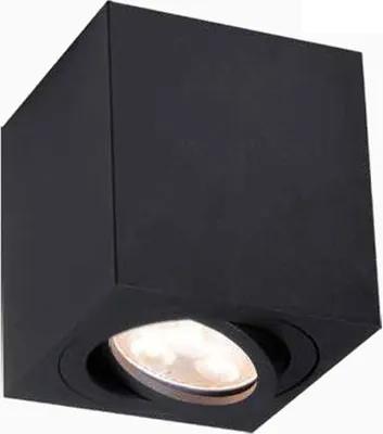 Produktbild von Deckenleuchte SPOTLIGHT | schwenkbar | eckig | GU10 schwarz | Neutralweiß