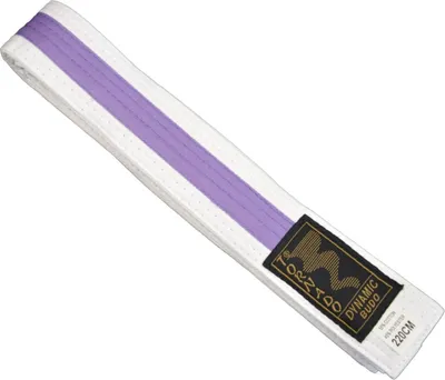 Produktbild von TEKKA BUDO Kampfsport Gürtel mit Mittelstreifen weiß-violett 280 cm 2-farbig - Budogürtel, Karate, Judo, Taekwondo, Ju-Jutsu