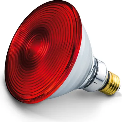 Produktbild von Ersatzstrahl für Infrarotlampe>>>>Ausf.: 150 Watt
