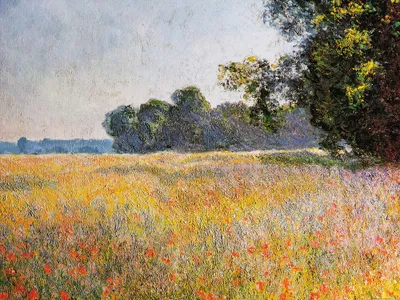Produktbild von Claude Monet Kunstdruck Bild - Haferfeld Mit Mohnblumen, 1890 (60 x 80 cm)