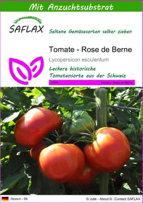 Produktbild von SAFLAX - Tomate - Rose de Berne - 10 Samen - Mit keimfreiem Anzuchtsubstrat - Lycopersicon esculentum