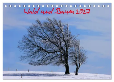 Produktbild von Wald und Baum 2027 (Tischkalender 2027 DIN A5 quer), CALVENDO Monatskalender