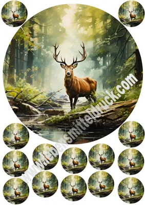 Produktbild von Hirsch Jagd Wald Tortenbild 20 cm rund mit Keksauflegern in 3,8 cm auf Premium Fondantpapier