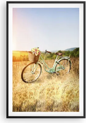Produktbild von Gerahmtes Poster - Schwarzer Rahmen - Fahrrad Wiese Blumen - 61x91,5 cm - Wand Bild - Wanddeko - Wandbilder - Kunstposter - Wandposter - Bilderrahmen - Bilder - Kunstdruck - Wandbild - P2BPA61x91-4206